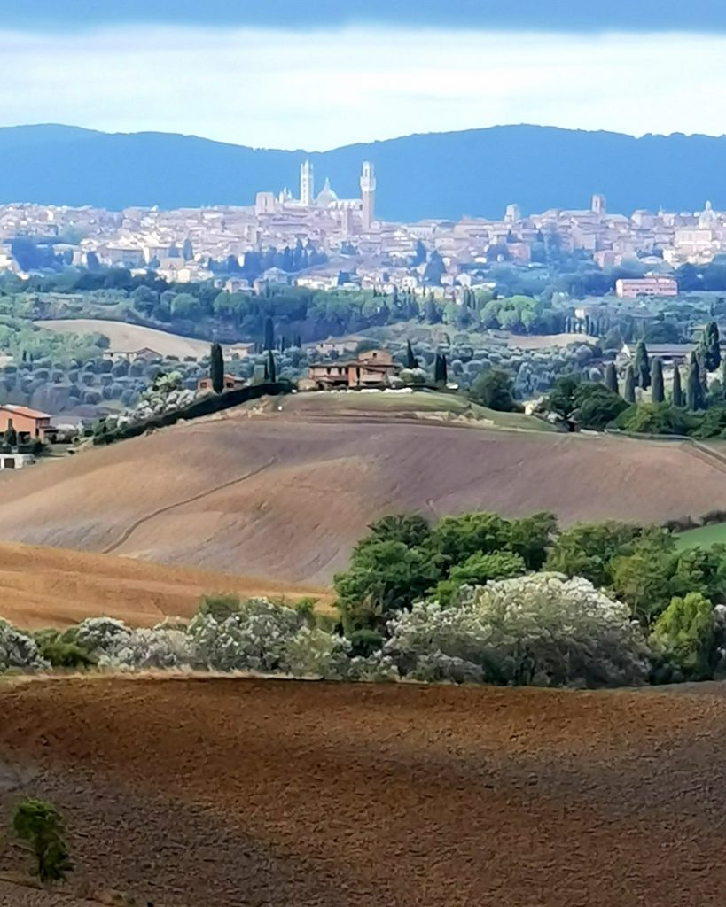 Panorama Siena