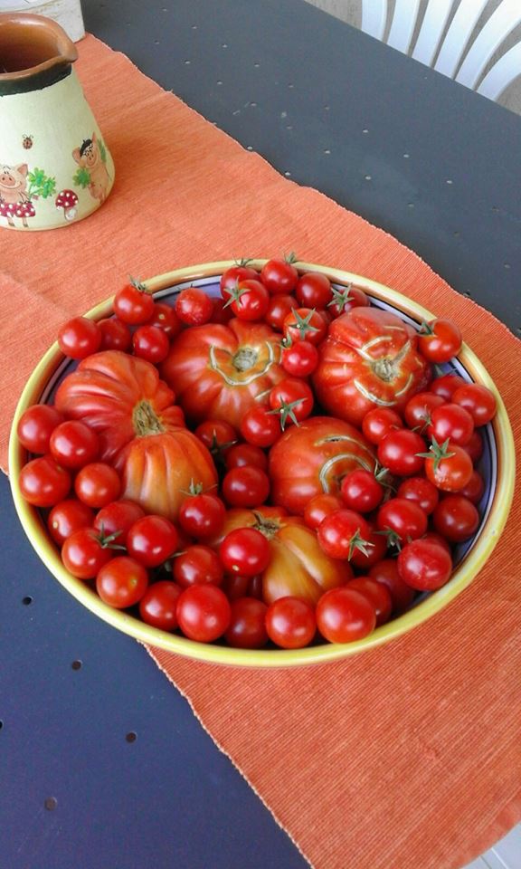 Pomodori