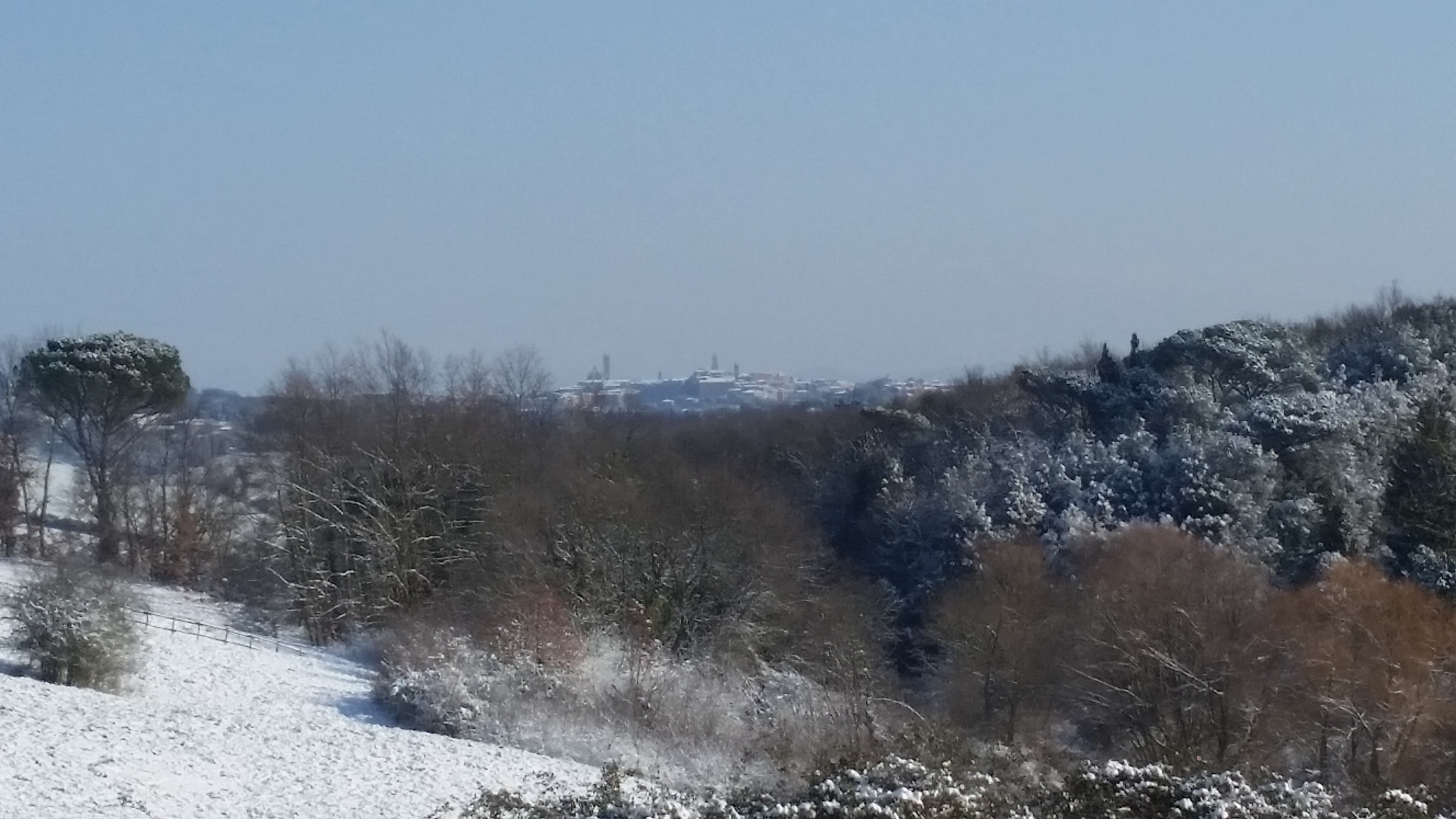 20180226_092803
