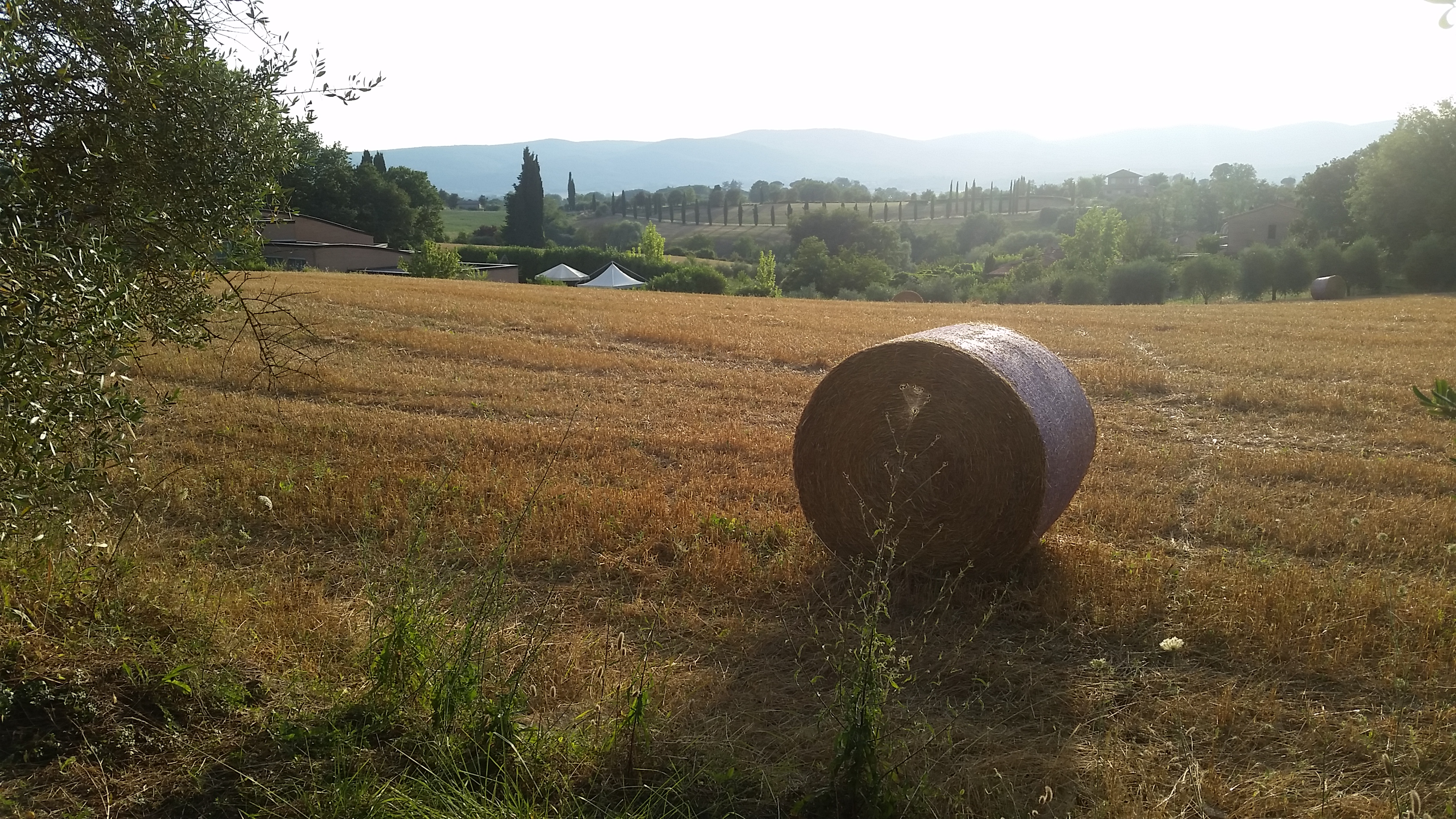 Titolo Pressa Alt Pressa