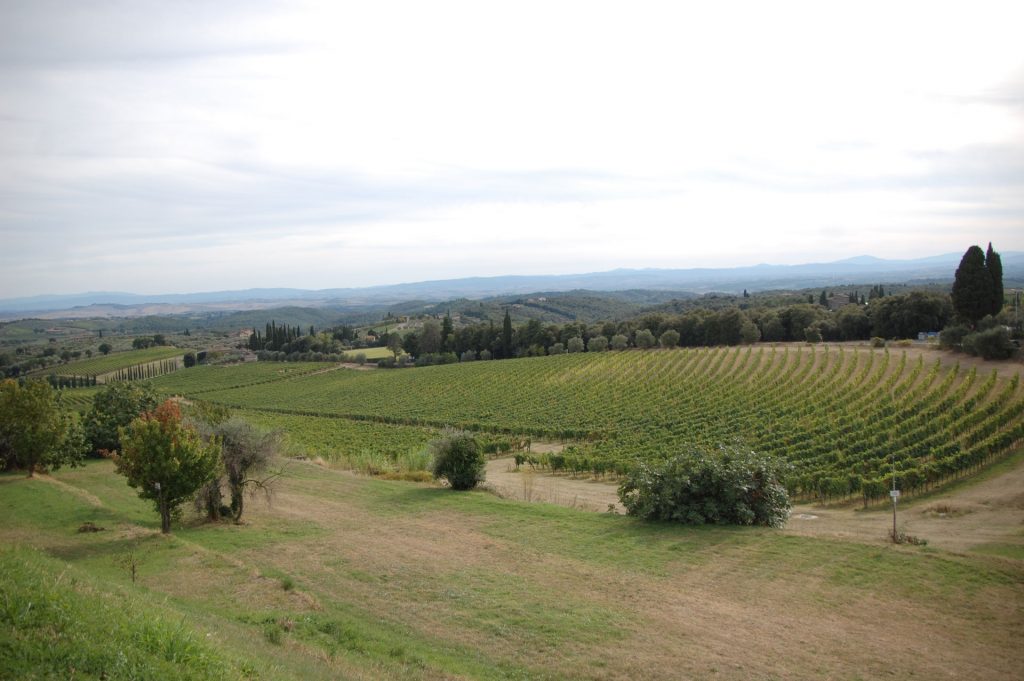 Chianti - Vista da San Gusmè