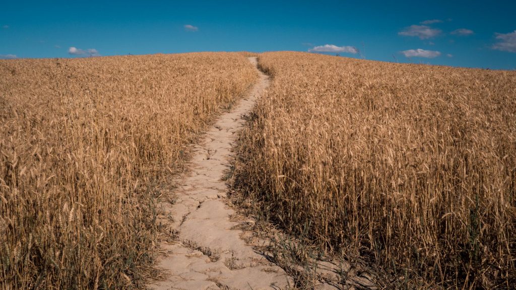 Crete senesi