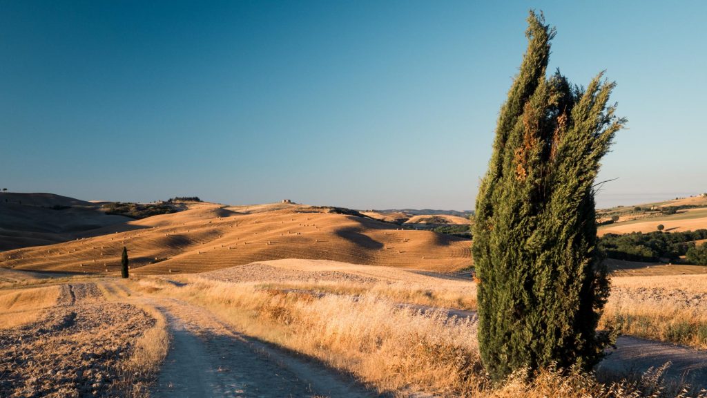 Crete senesi