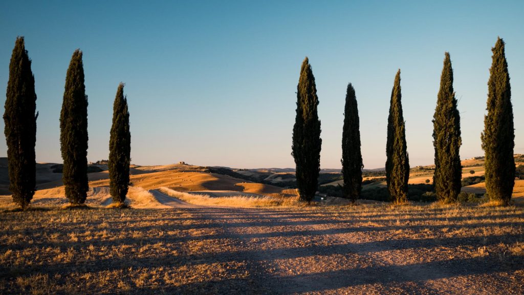 Crete senesi