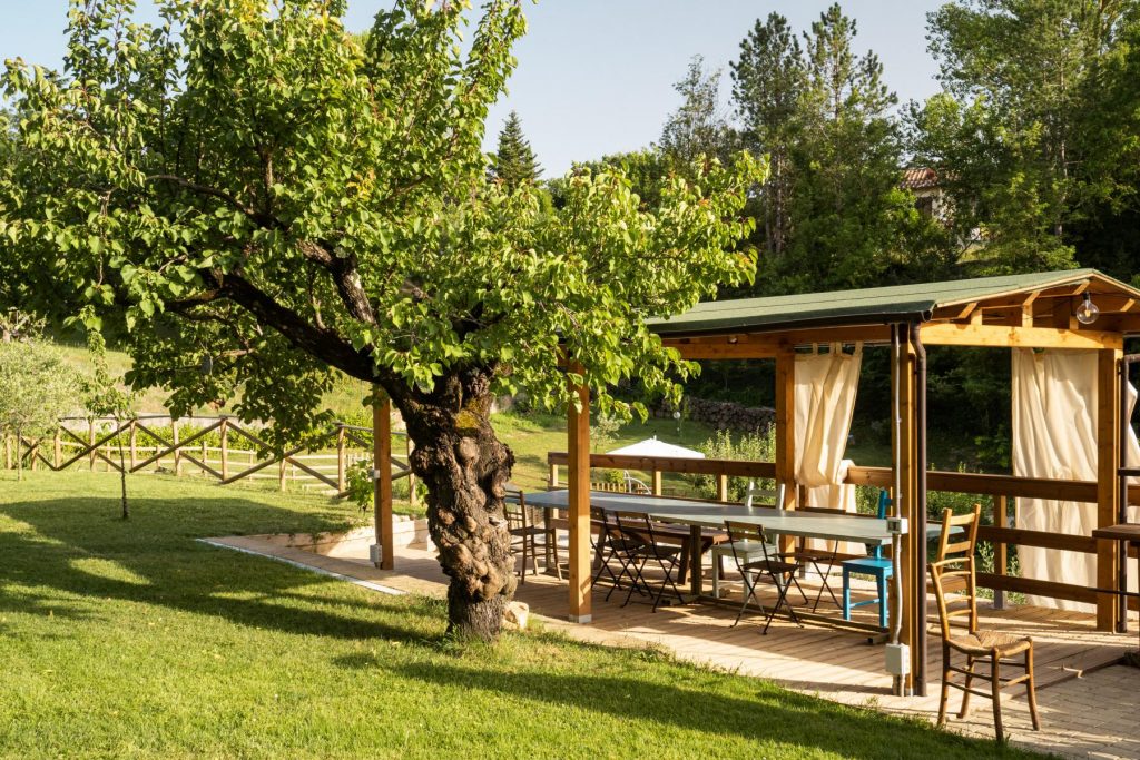 Gazebo e albicocco